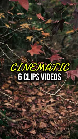 6 CLIPS VIDEOS