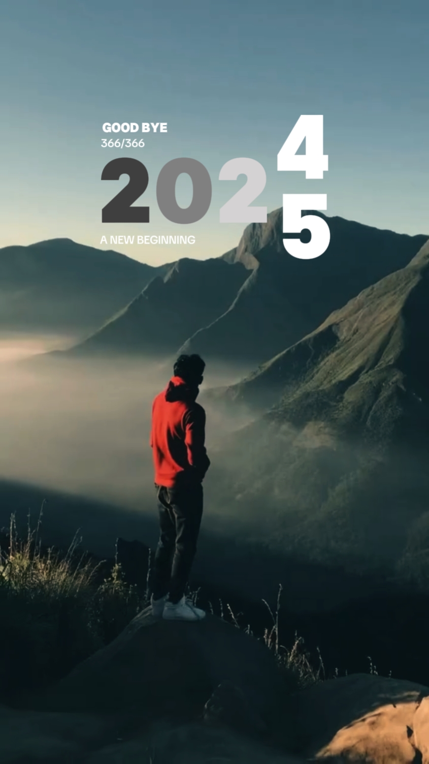 再见2024