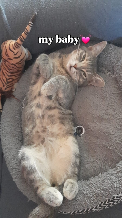 sayangku