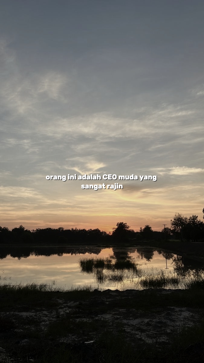 orang lni adalah ceo