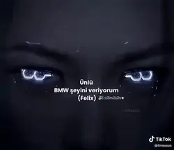 BMW FELIX