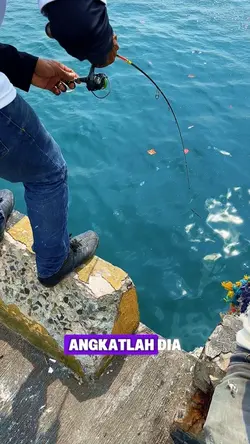 Lelaki tak pandai