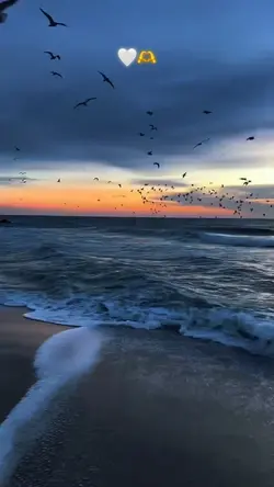 Slowmo :)