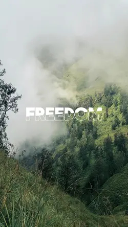 FREEDOM DUMP