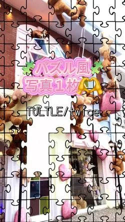 パズル風🧩写真1枚🧸