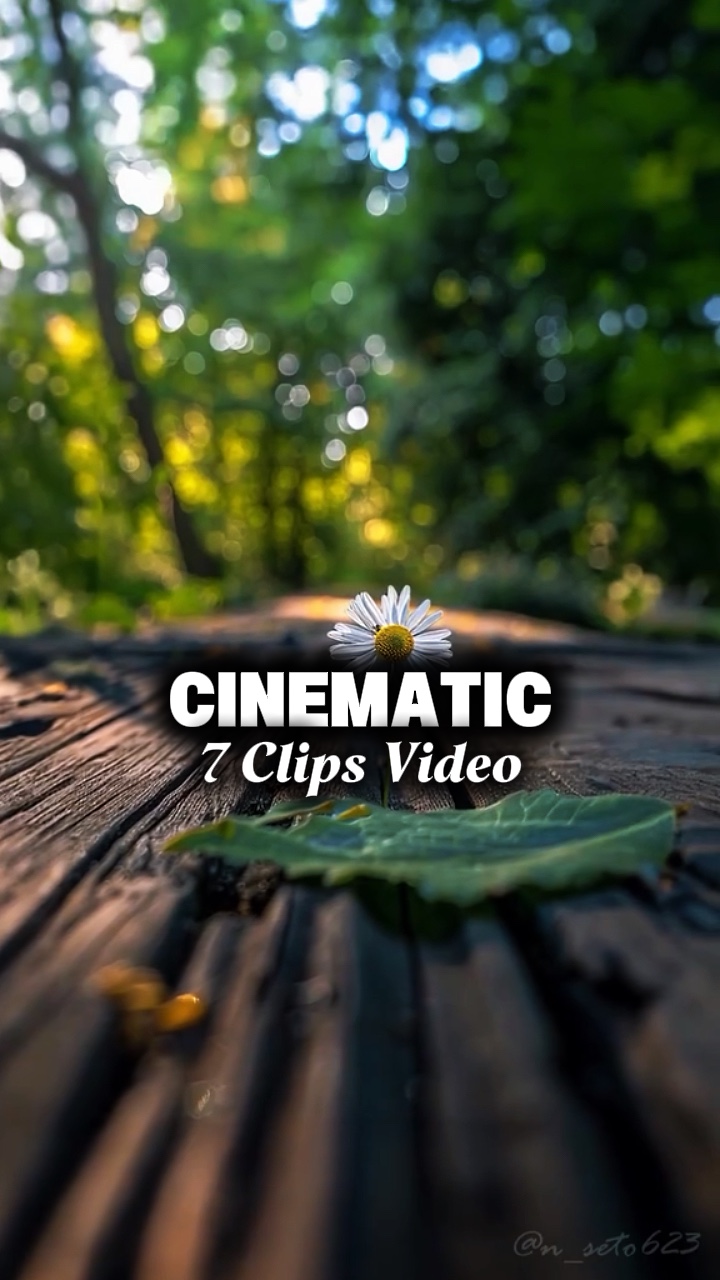 7 Clips Video