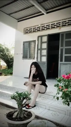 Trình chiếu
