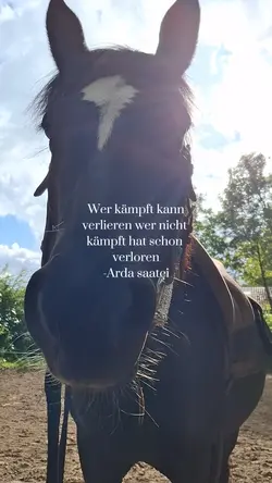 Arda saatçi Spruch 