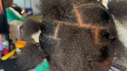 Summer Hair