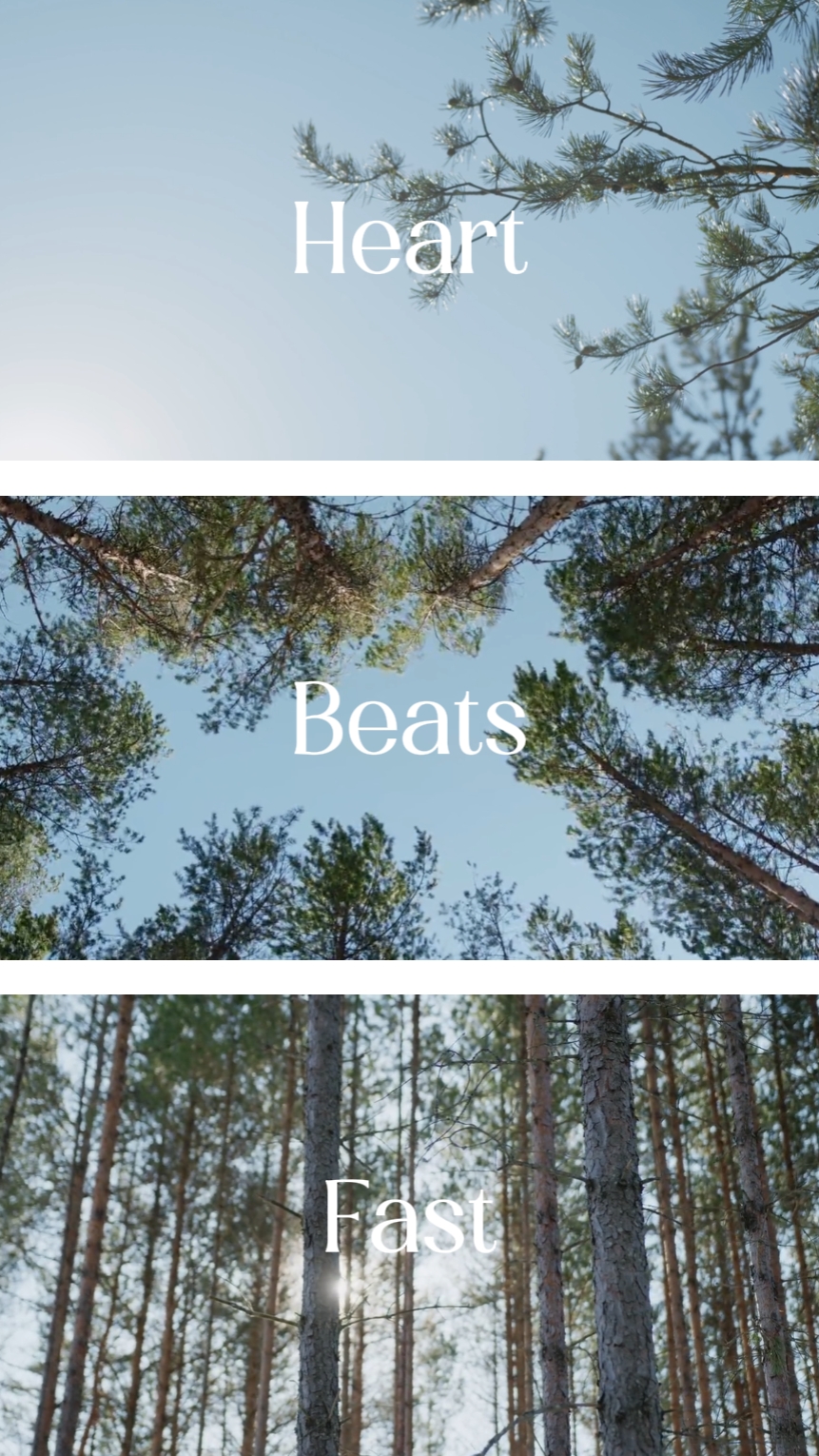 vlog lyric