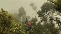 Aesthetic 1clip
