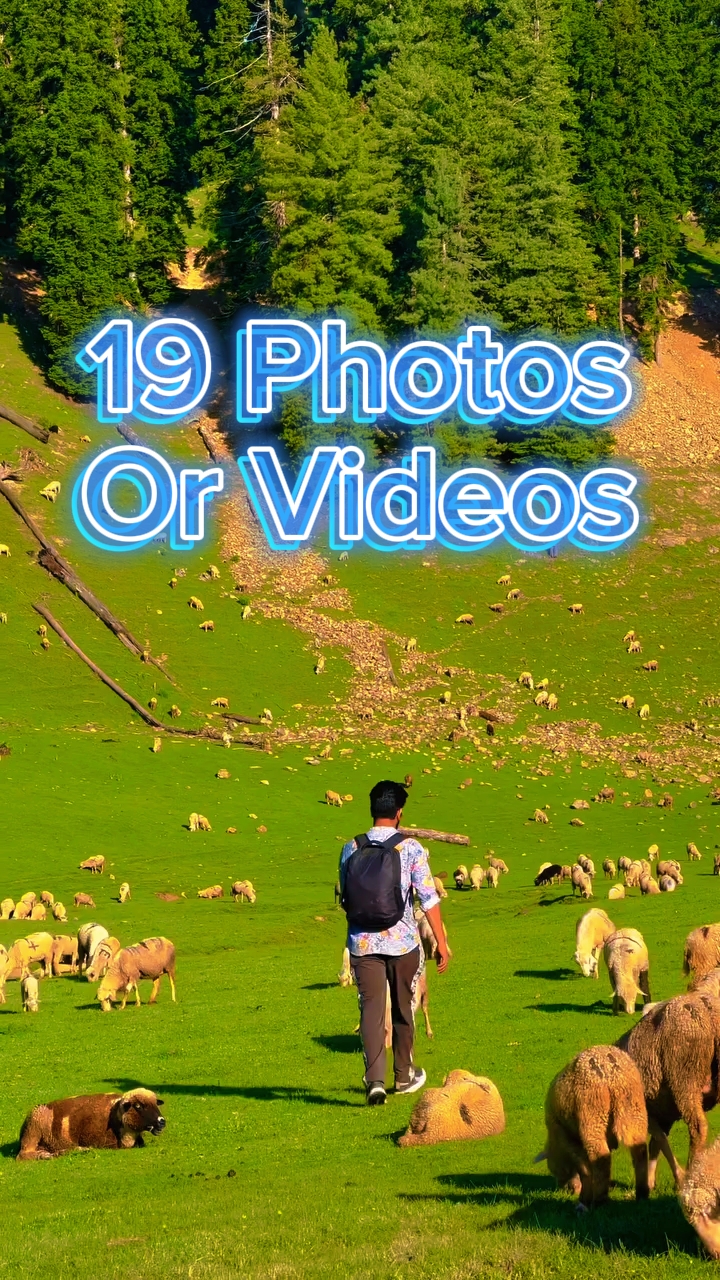 19 Foto-Dias