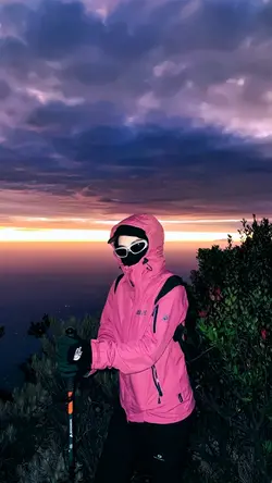 aesthetic