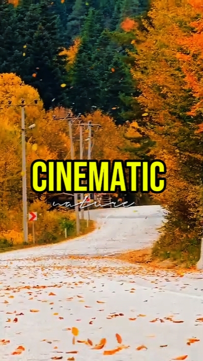 NATURALEZA CINEMÁTICA 