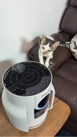 Air purifier 
