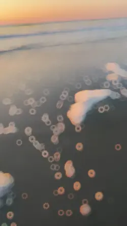 edição perfeita mar 