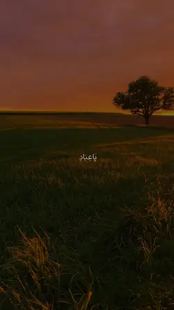 قالب قرآني 