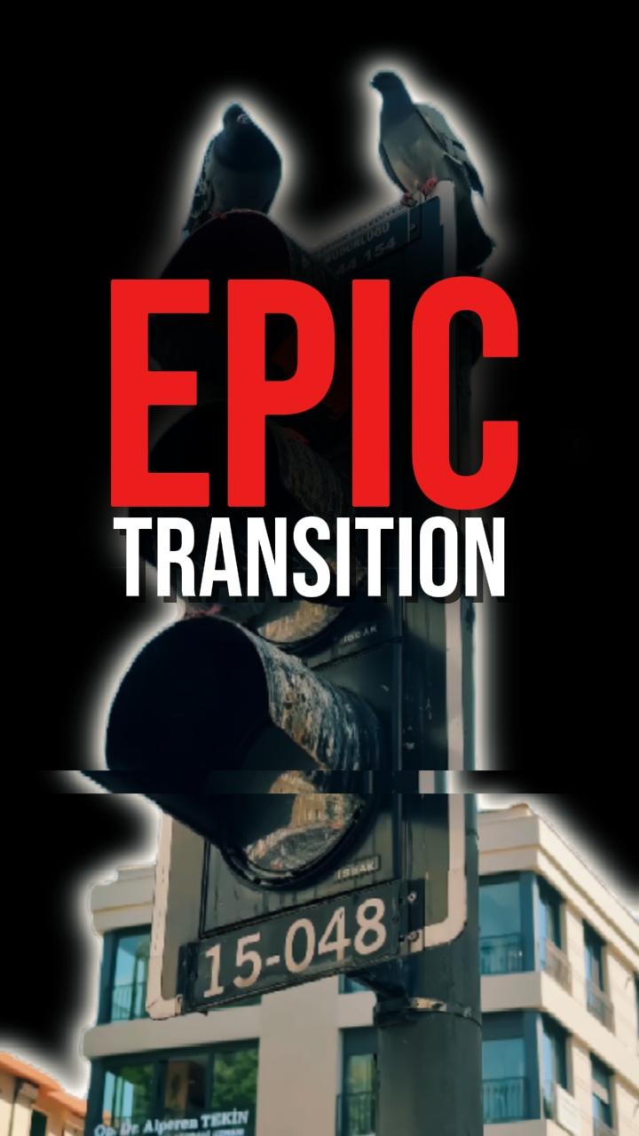 TRANSICIÓN ÉPICA 
