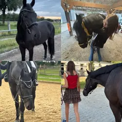 ❤️‍🩹❤️‍🩹