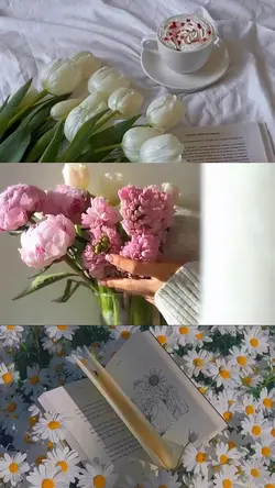 Spring Moment
