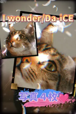I wonder/Da-iCE/写真４枚
