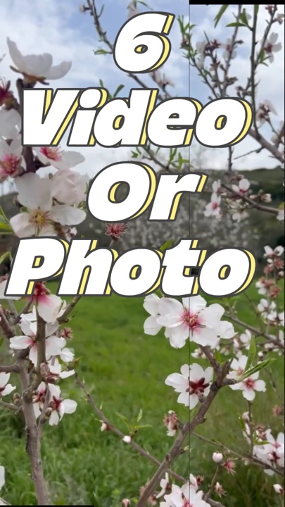 Minivlog 