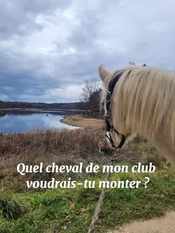 quel cheval
