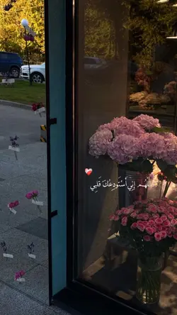 يالله