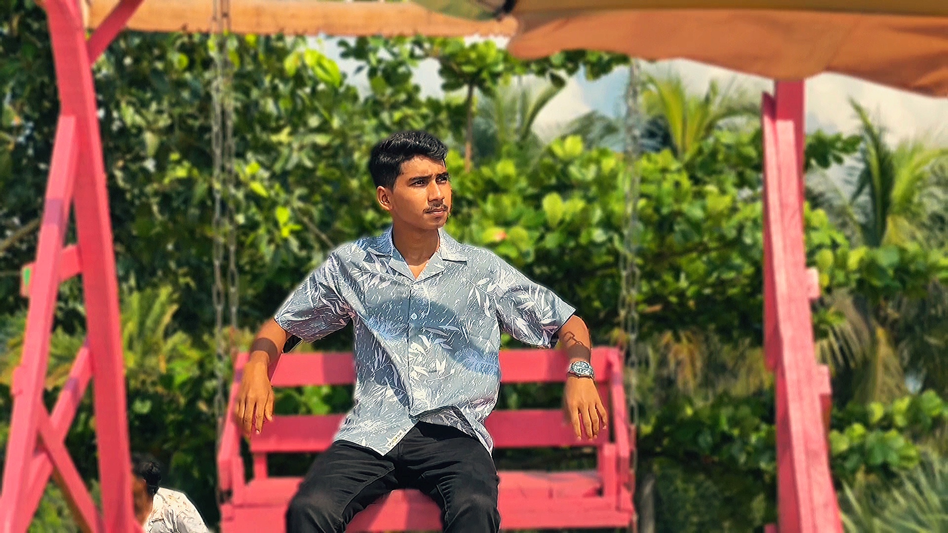 Cover Picture