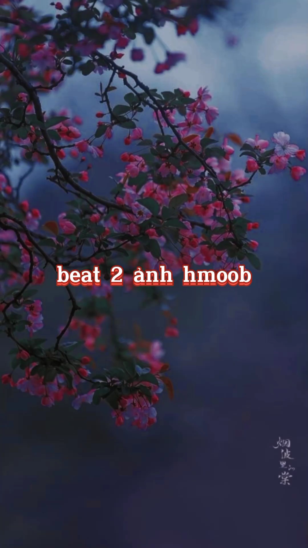 mẫu 2 ảnh hmoob 