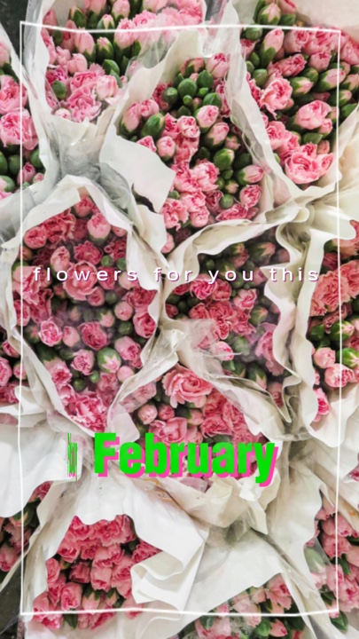 Flores para febrero