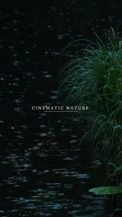 cinematic nature