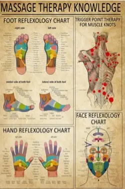 Body Health Relaxati