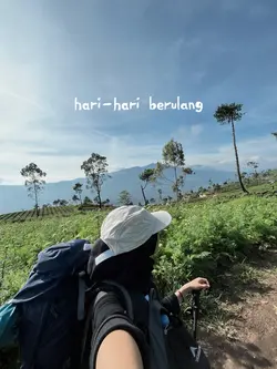 Tulus - Teh hijau