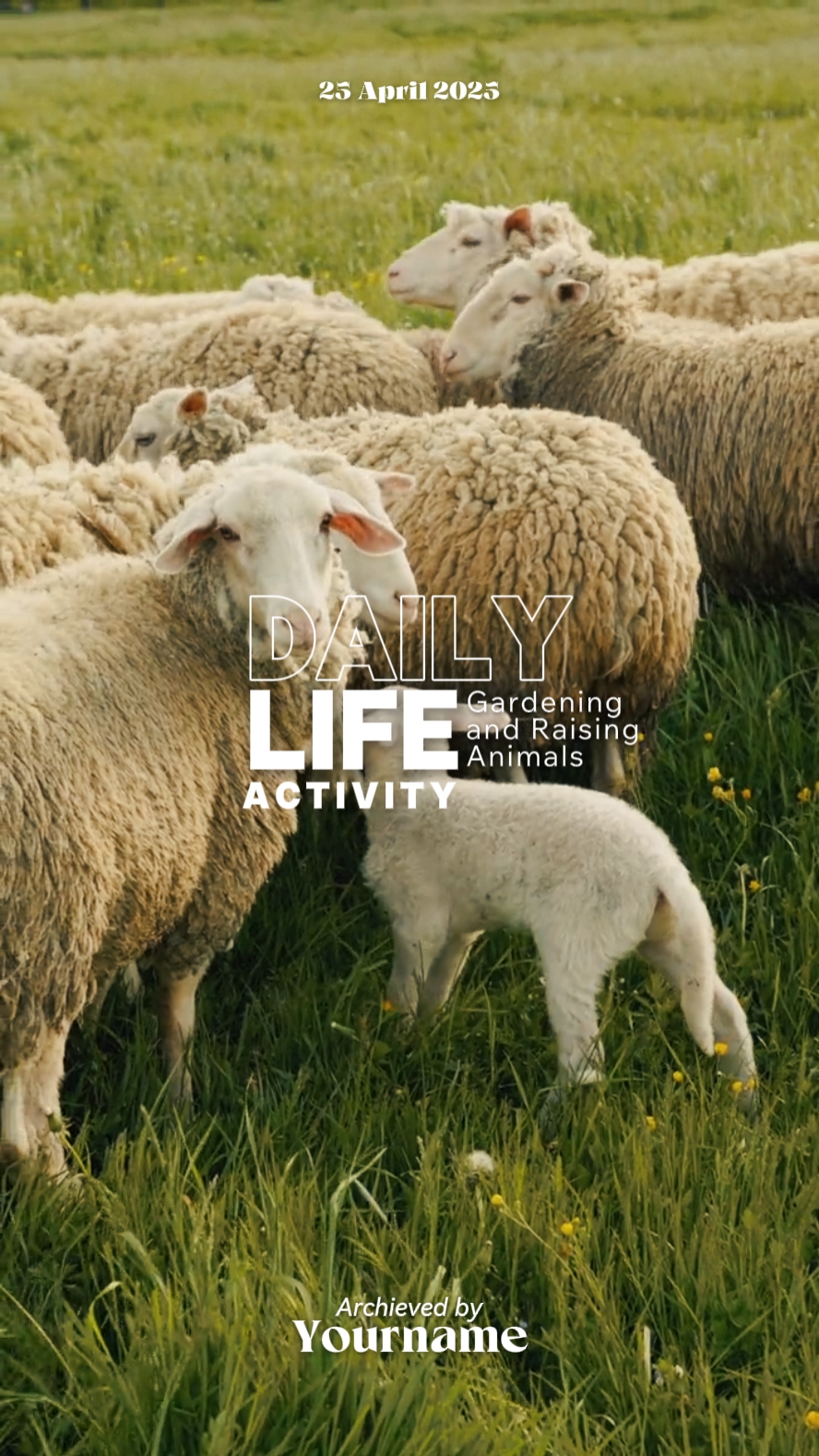 Daily Life