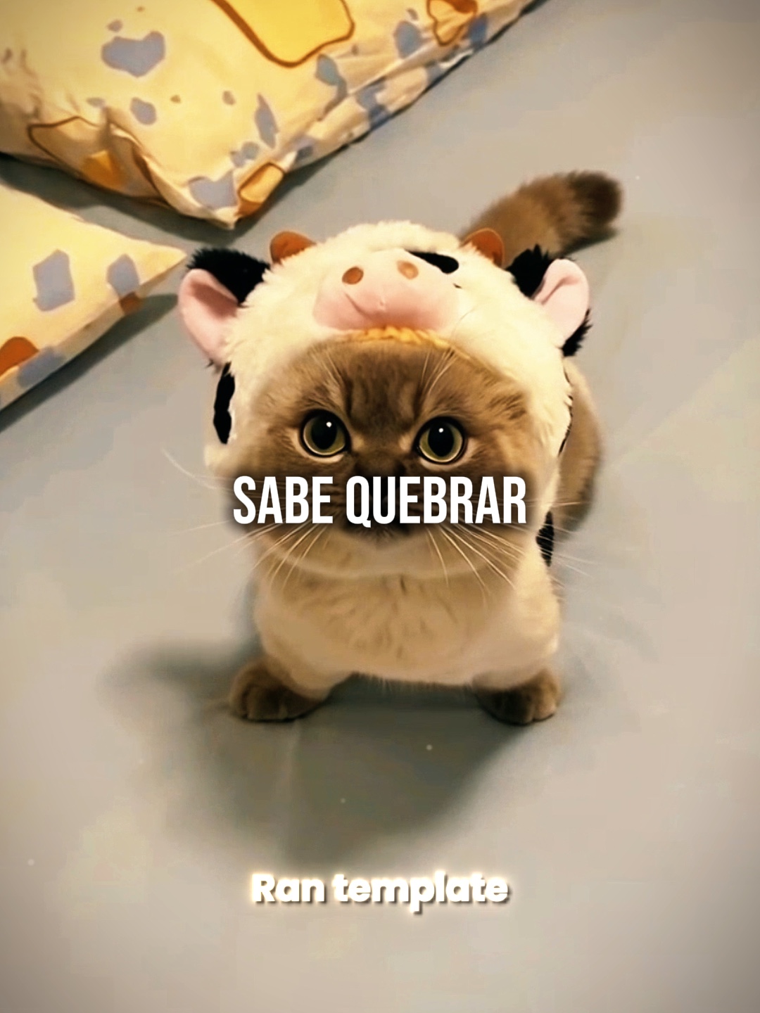 SABE QUEBRAR