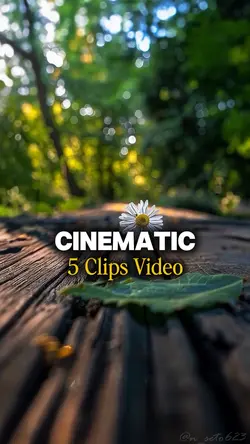 5 CLIPS VIDEO 