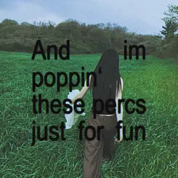 IDGAF - Drakerelated