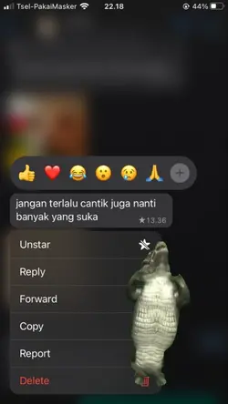 sschat buaya joget