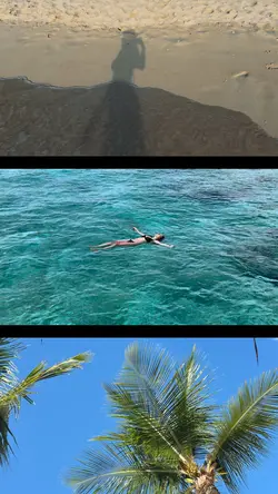 Summer Recap ๐