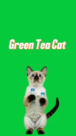 Green Tea Cat Tulus