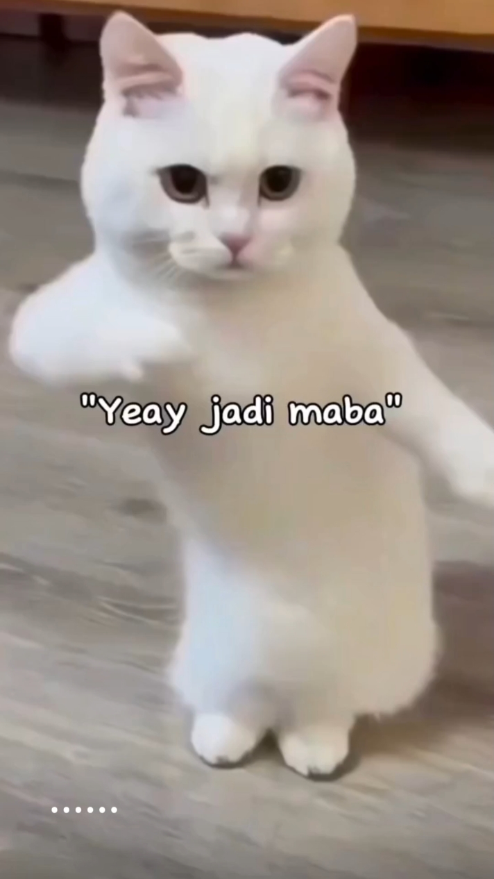 perkenalan maba 