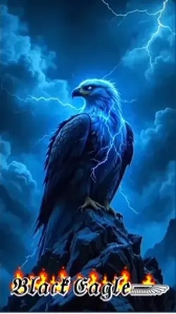 🦅𝔅𝔩𝔞𝔠𝔨 𝔈𝔞𝔤𝔩𝔢𓆃🦅