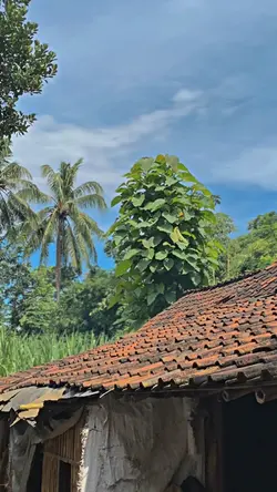 1VID BLUR HD