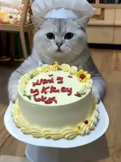 お誕生日おめでとうございます
 