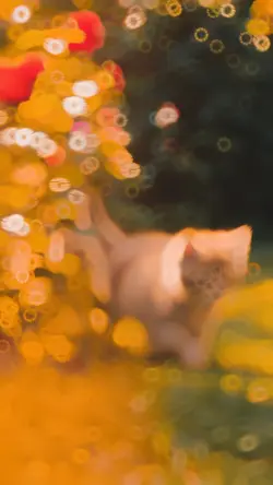 Viral slowmo tried l