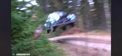 Rally