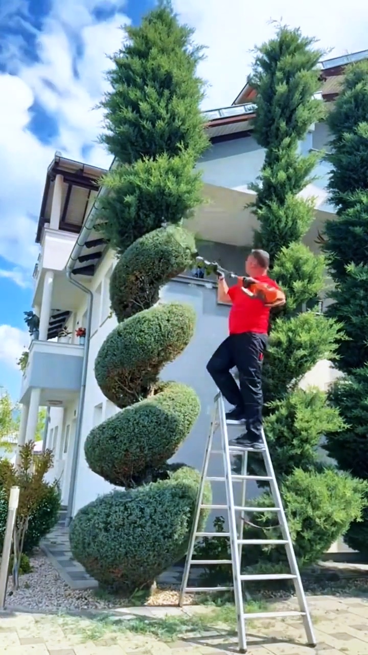Gartenarbeit