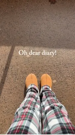 Oh dear diary 
