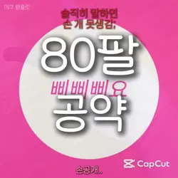 80팔 공약